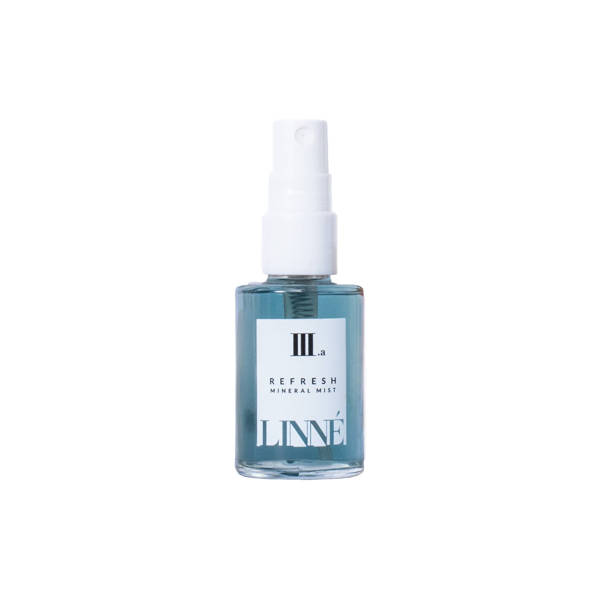 REFRESH mineral mist