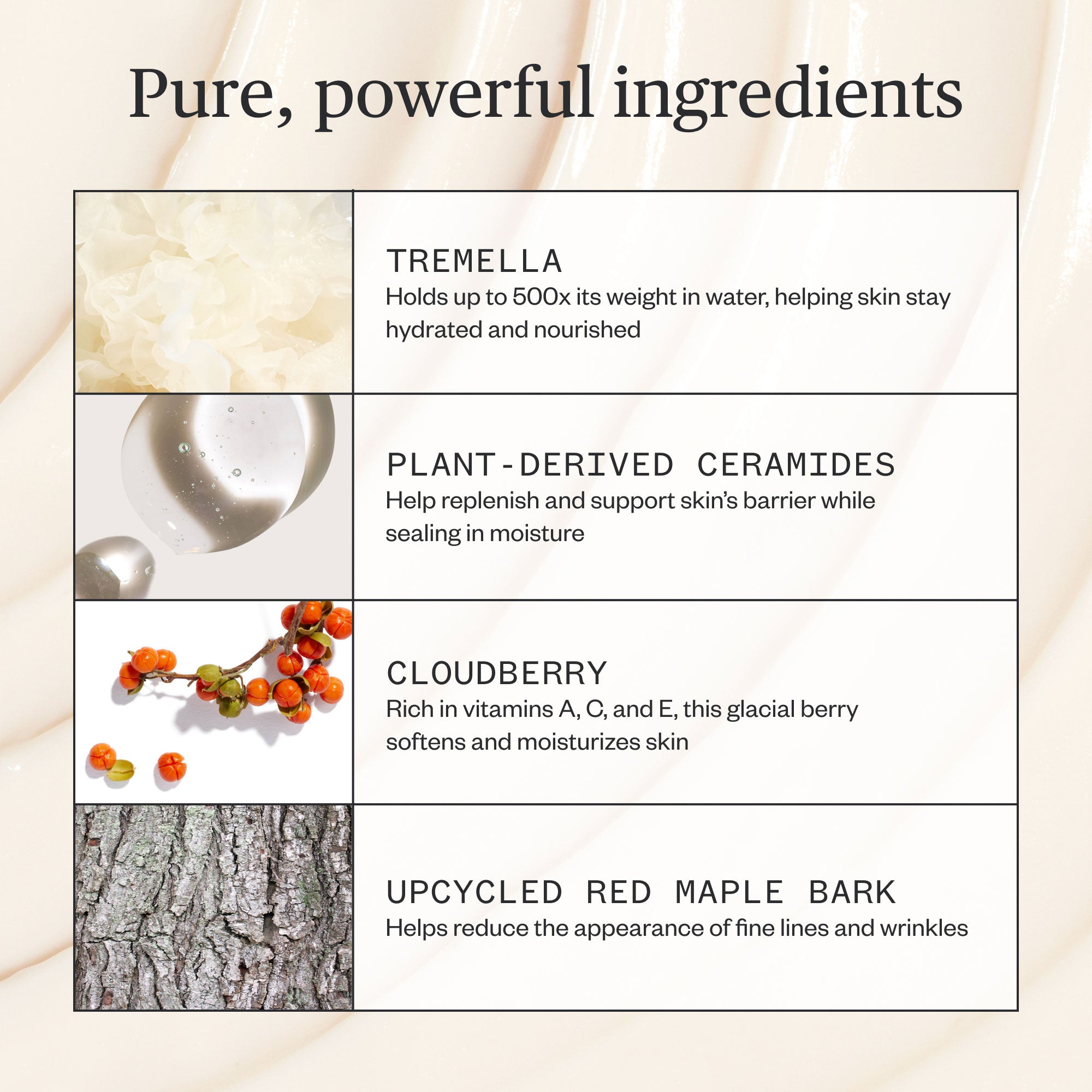Alpine Rich Cream