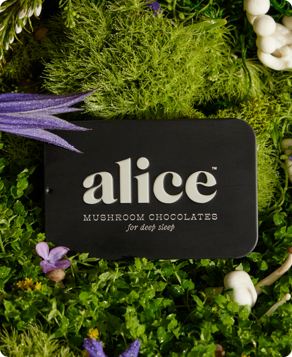 Nightcap — mushroom chocolates for deep sleep