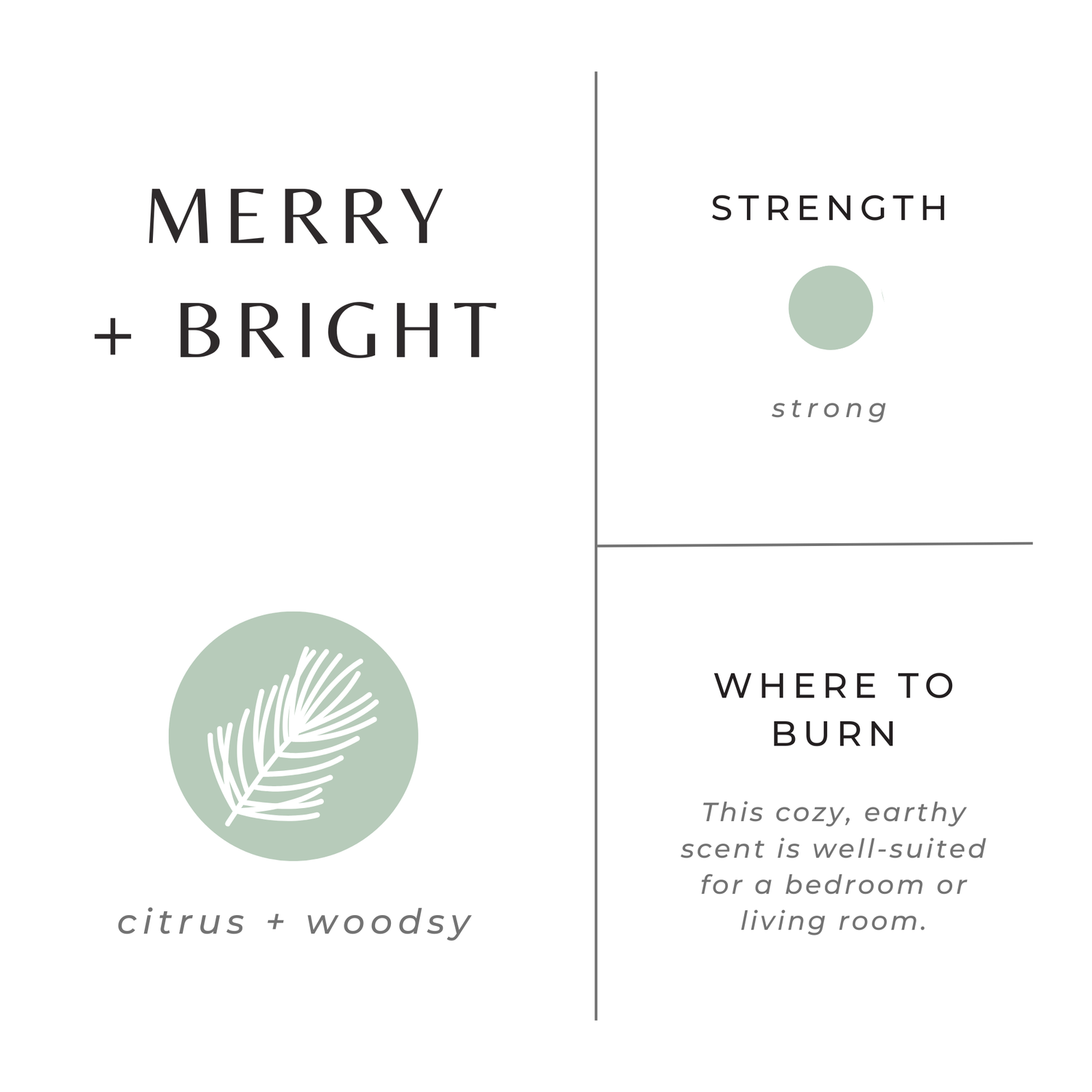 Merry + Bright - Fir, Clementine &amp; Clove - Holiday 2025