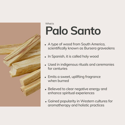 Palo Santo Hand Rolled Incense Stick