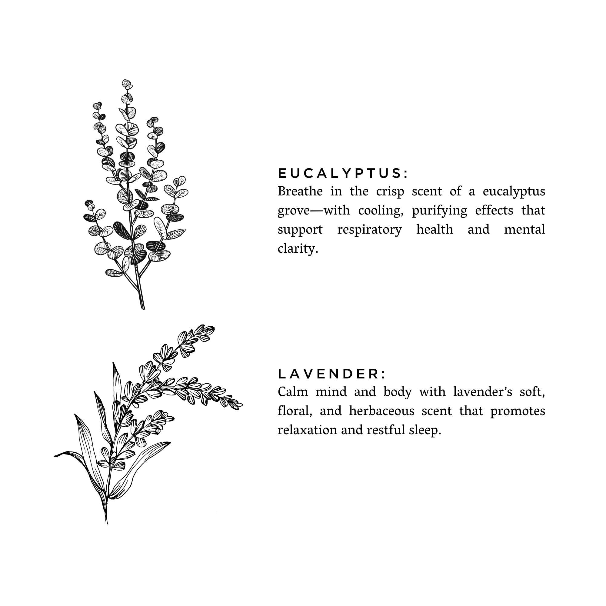 Eucalyptus + Lavender Non-Toxic Soy Candle, Essential Oils, Holiday Favorite