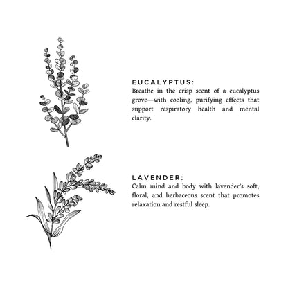 Eucalyptus + Lavender Non-Toxic Soy Candle, Essential Oils, Holiday Favorite