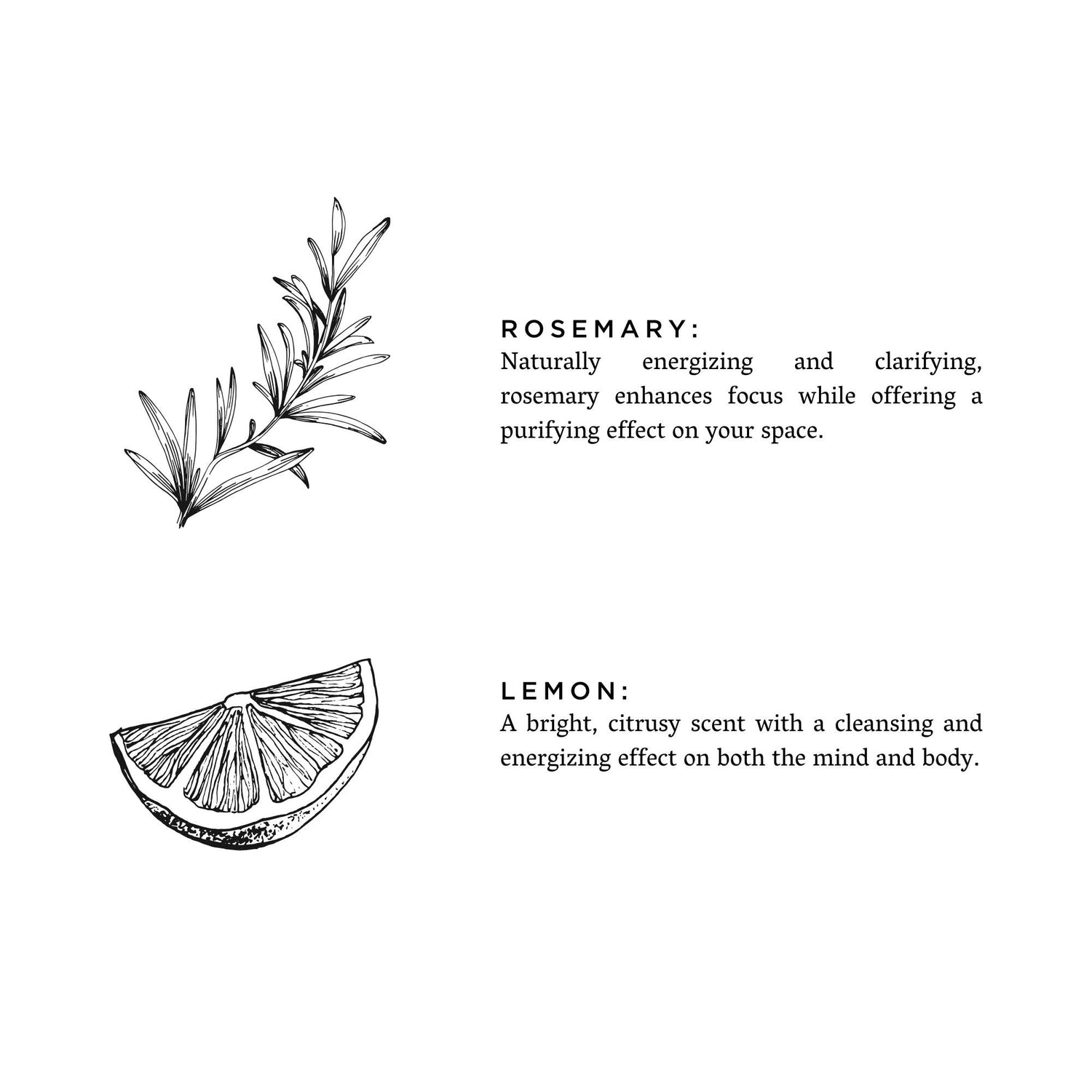 Rosemary + Lemon - Non-Toxic Candle - Spring Gift